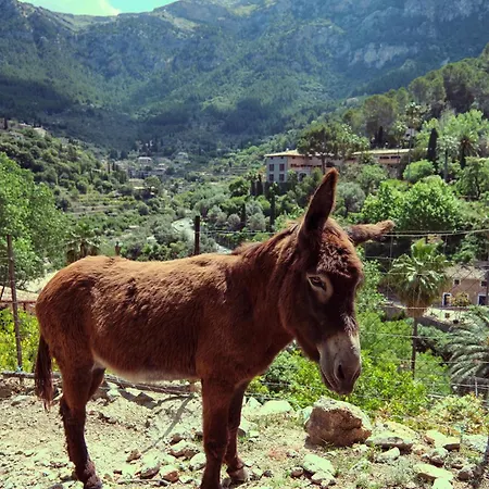 Es Moli Deià